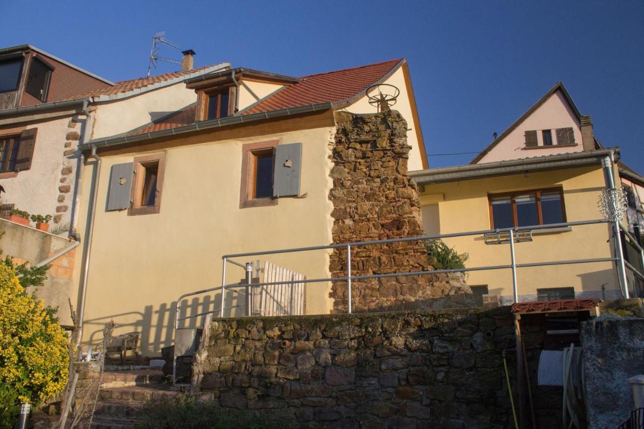 Le Zell